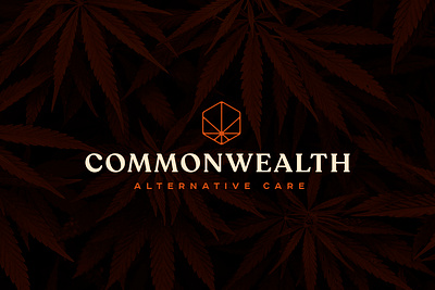 CAC Logo branding creative agency design dispensary logo logotype marijuana typography