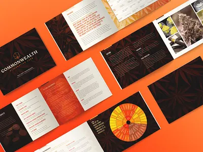 CAC Patient Handbook Design branding brochure creative agency design dispensary logo logotype marijuana typography