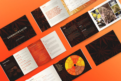 CAC Patient Handbook Design branding brochure creative agency design dispensary logo logotype marijuana typography