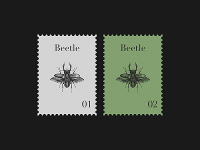 Beetle Postage Stamp beetle branding graphic design illustration postage stamp print vintage