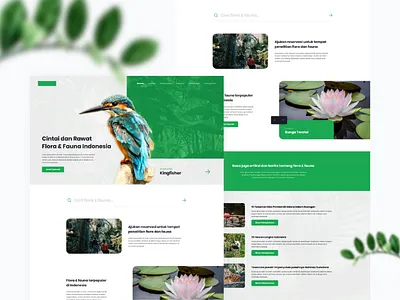 Flora & Fauna Web Concept animal fauna flat flora madewithadobexd plant ui uiux ux web