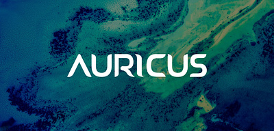 Auricus - A bespoke font australia bespoke type design font typeface typography