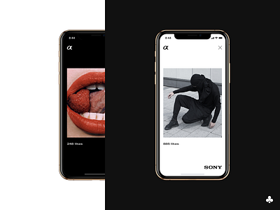 Sony Alpha Photo Contest Concept alpha artdirection concept design grid mishano mobile design mobile ui sony ui ux web webdesign website design wip