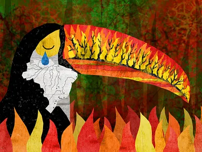 BurningToucan brazil burning climate change editorial art editorial design editorial illustration forest illustration illustration art illustration design illustrations jungle rainforest toucan tucan