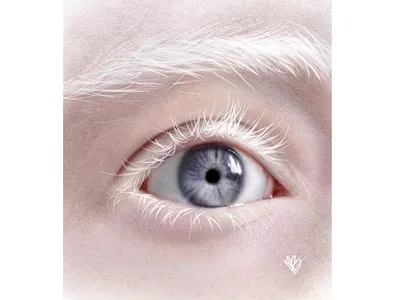 Eye design digital art digital illustration eye illustration procreate realistic sketch