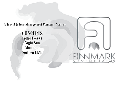 Finland, Norway Travel Tour Agency branding business finland finnmark graphic design logo northen light norway travel agency