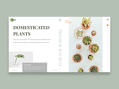 Website Concept for Plant Lovers design ui ui ux ui ux design uidesign uiux uiuxdesign uxdesign webdesign