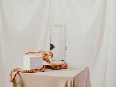 Time Is A Curious Thing focus lab photography set design still life styling