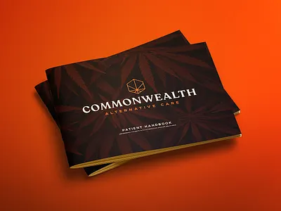 CAC Brochure Cover branding creative agency design logotype typography vector