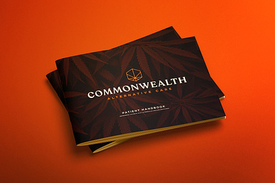 CAC Brochure Cover branding creative agency design logotype typography vector