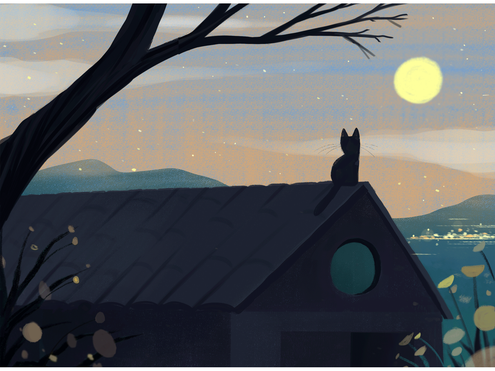 Distant Lights art cat digital gif illustration illustration art illustration digital