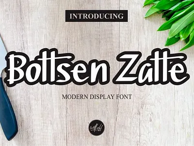Preview Bottsen Zatte branding font design handletter handlettering handmade illustration vector