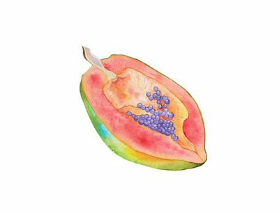 Lovely ripe papaya for poster or print on a t-shirt design hand drawn illustration pattern tropical watercolor