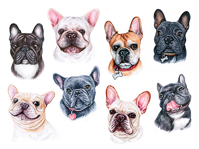 Frenchie animal bulldog cute dog dogs draw french bulldog fun funny illustration pet pets puppy watercolor watercolor art