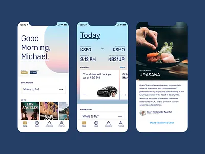 Private Aviation App Concept airline app aviation brand branding design flat icon icons ios mobile typography ui ux