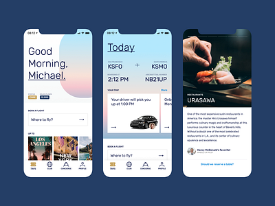 Private Aviation App Concept airline app aviation brand branding design flat icon icons ios mobile typography ui ux