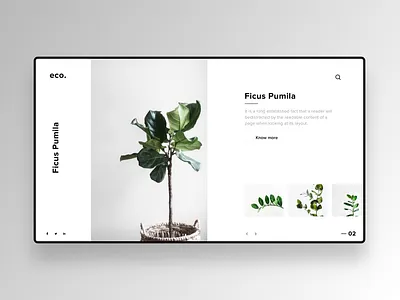 ECO. - Concept clean clean ui eco friendly flat green minimalist plants trees ux white whitespace