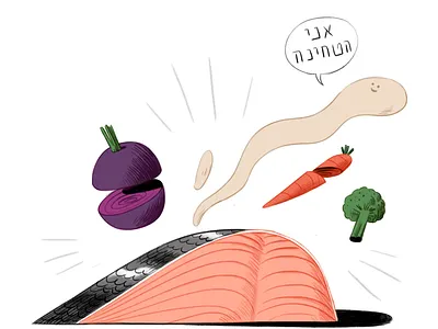 My Lunch beetroot carrot digital illustration food food and drink foodie illustraion salmon smile