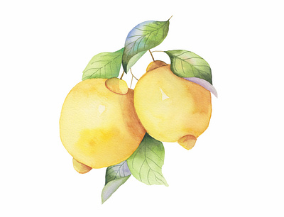 Bright watercolor Mediterranean lemons design hand drawn illustration watercolor