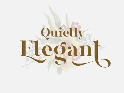 Magnies - Serif Font branding design display font elegant font font font design fonts graphic design lettering logo fonts minimal minimalist font retro font serif serif font serif typeface typeface typefaces typography vintage font