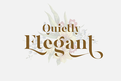 Magnies - Serif Font branding design display font elegant font font font design fonts graphic design lettering logo fonts minimal minimalist font retro font serif serif font serif typeface typeface typefaces typography vintage font