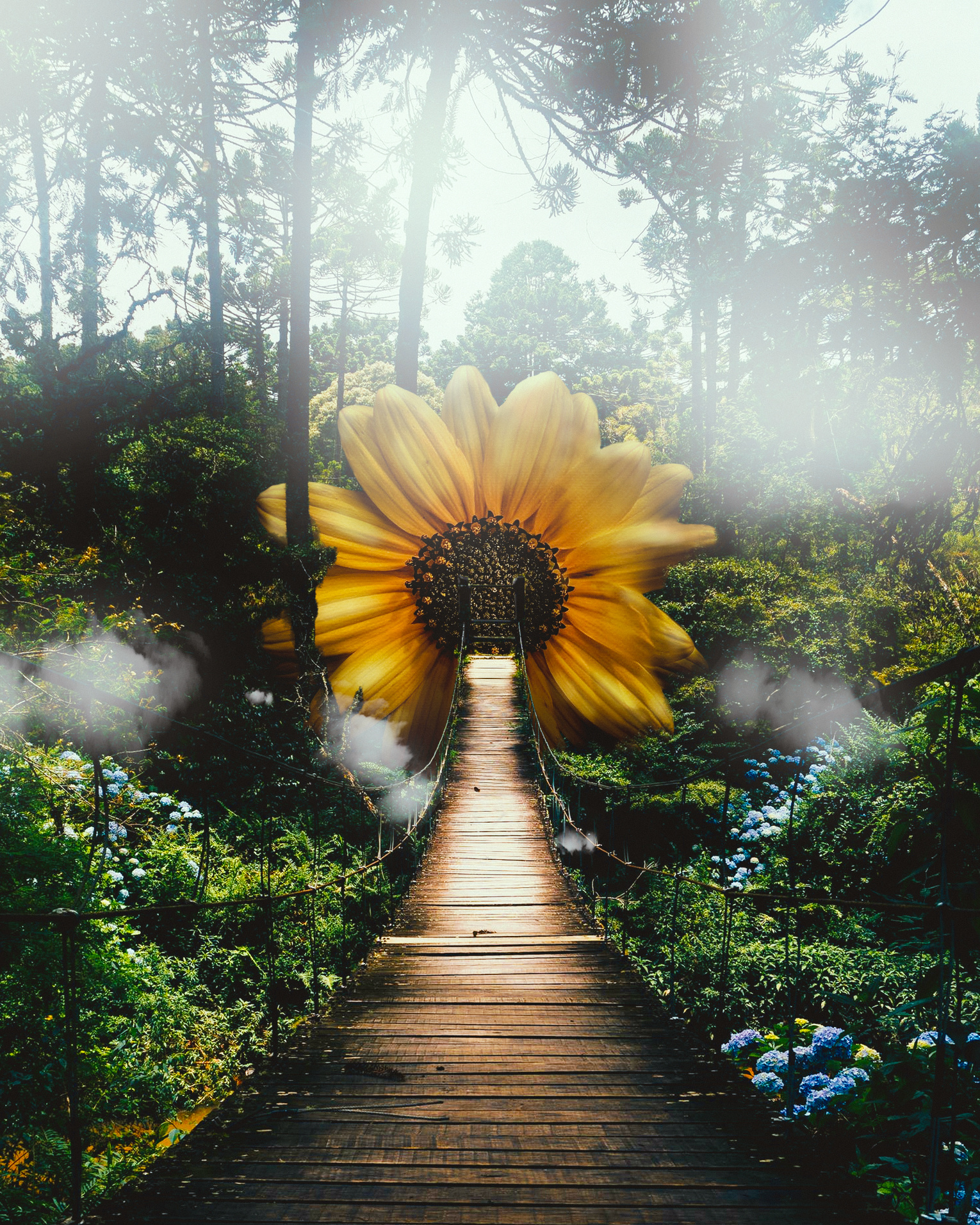 Example of Flor en el bosque