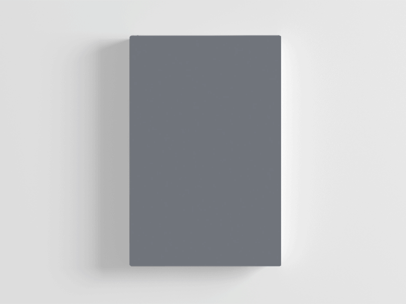 The Teacher book cover design