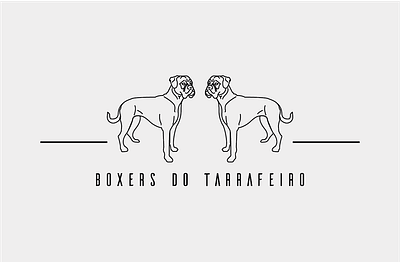 Logo | Boxers do Terrafeiro boxer boxers graphic design logo vector