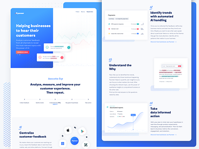 Pyoneer.io - Customer Feedback Analytics ai analytics feedback landing page messages nlp website
