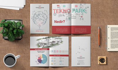 Brochure advertising banner brochure corporate identity design design indesign logo photoshop typography vector