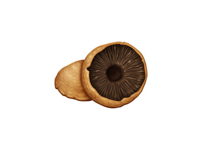 Portobello Mushrooms food icon june mushroom oven portobello