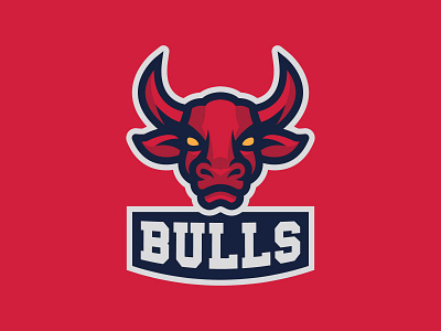 BULLS animal basketball branding buffalo bull bulls esport logo idenity identity illustration illustrator logo mascot mascot logo sport sports sports design sports identity sports logo vector