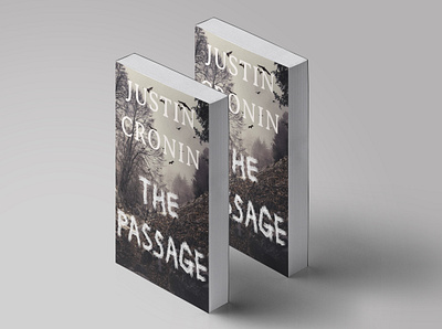 The Passage book cover book cover design design photoshop