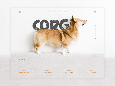 Corgi Promotion Site design promo ui ux web веб дизайн дизайн