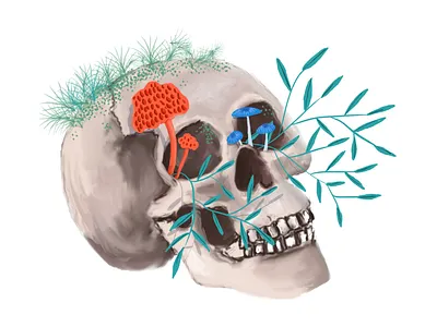 Nirvana | Visual exploration of Art & Nature art dailyui design drawing illustration ui uidesign uiux uiux design ux uxdesign