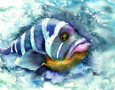 The fish - watercolor painting. aqua aquarell aquarelle aquarium blue fish impressionism painting underwater water watercolor watercolor art watercolor illustration watercolor painting watercolour