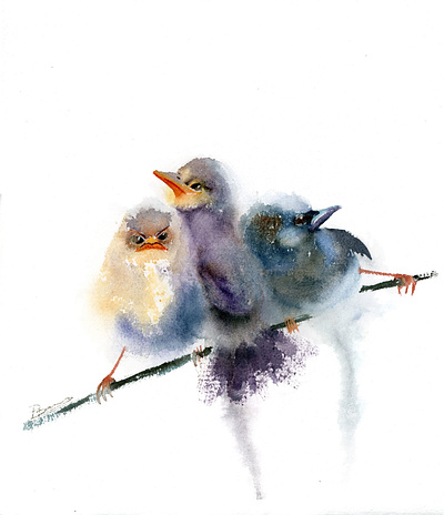 3 wrens - watercolor painting art artwork bird birds painting traditional art watercolor watercolor art watercolor illustration watercolor painting watercolour wren