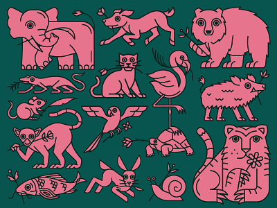 Animal House Poster bear boar cat dog elephant fish flamingo flower icon illustraion illustration lemur lizard logo parrot poster rabbit rat tiger turtle