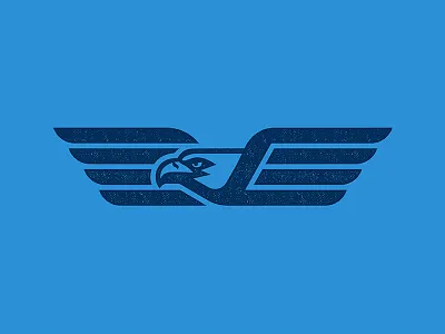Eagle america beak blue ecommerce eye fly illustrator logo mascot photoshop soar sports logo united states usa wing