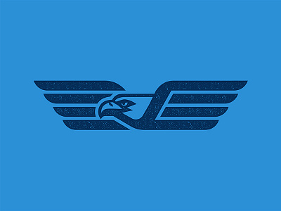 Eagle america beak blue ecommerce eye fly illustrator logo mascot photoshop soar sports logo united states usa wing