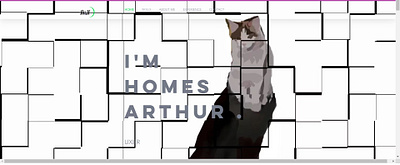 Personal Website web webdesign