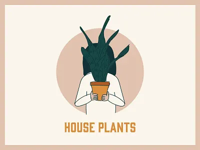 Millennial Series illustration color color palette house plant house plants illustration millennial plant snake plant