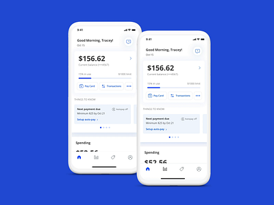 Pay Card app autopay balance card credit finance mobile payment statement ux visual