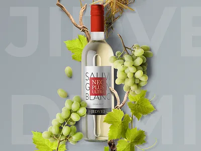 Jidvei AR Label - concept proposal #2 ar app augmented augmented reality augmentedreality branding branding and identity wine label