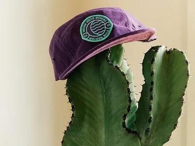 Golden Rule - Apparel branding cactus california cocktails design hats logo patches san francisco