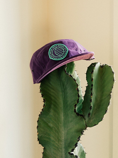 Golden Rule - Apparel branding cactus california cocktails design hats logo patches san francisco