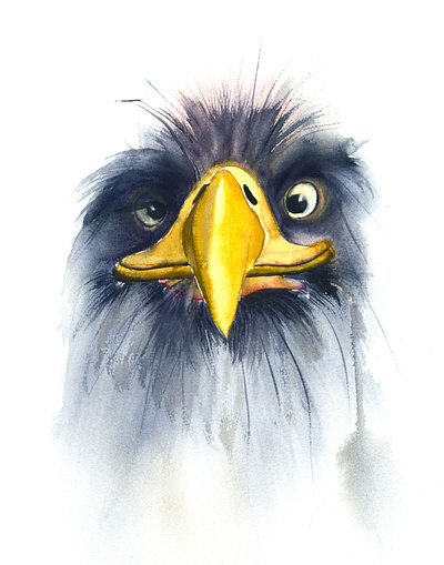 After yesterday (Eagle portrait) - Watercolor painting aquarell aquarelle art bird bird art bird illustration eagle funny illustration painting portrait painting watercolor watercolor art watercolor illustration watercolor painting watercolour