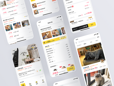 app design app branding typography ui 设计