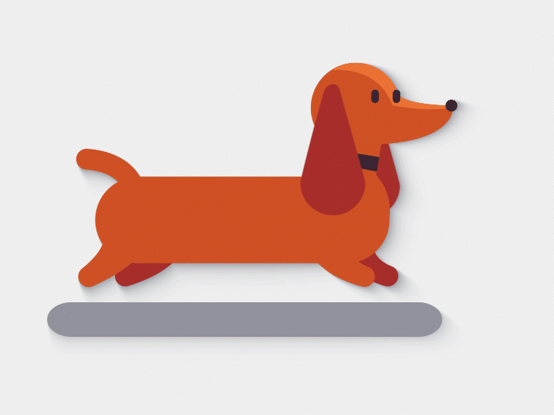 Dog Animation