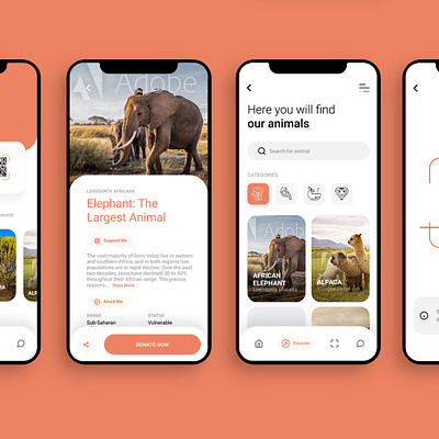 DoZoo animal app design donation nature non profit screen simple support ui ux zoo